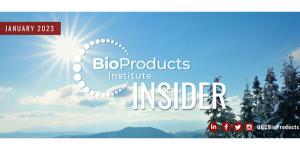 Sun shining over snowy landscape BPI Insider