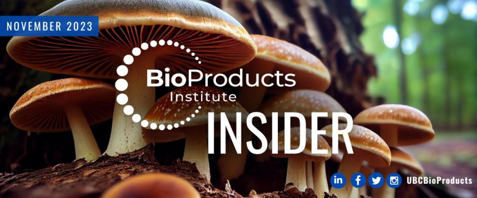 Insider November 2023 against image of fungi