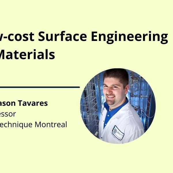 Low cost surface engineering of materials and photo of Dr. Tavares